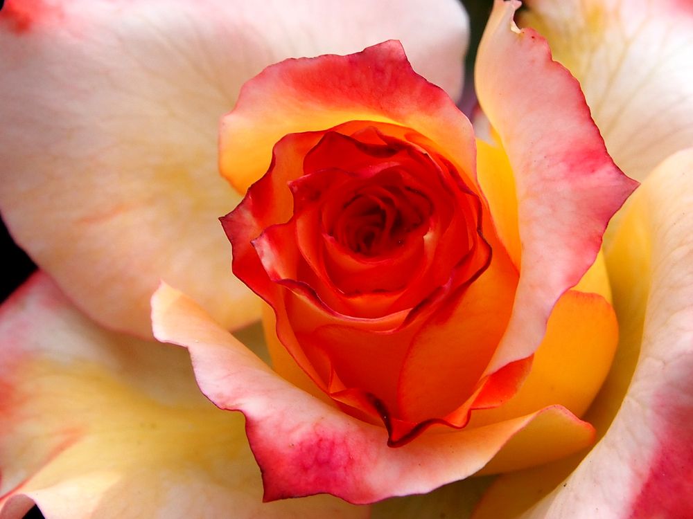 Photograph by Abdolreza Aleagha