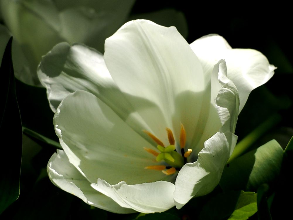 Photograph by Abdolreza Aleagha