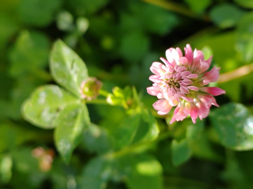 Photograph by Анастасия Проскурнова