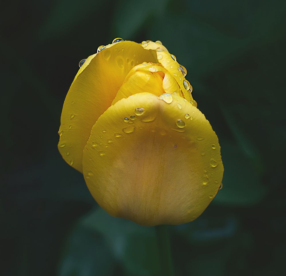 Photograph by Забудская Наталья