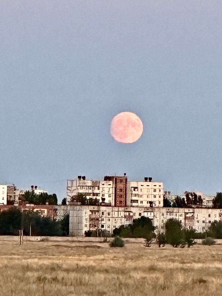 Photograph by София Лысова