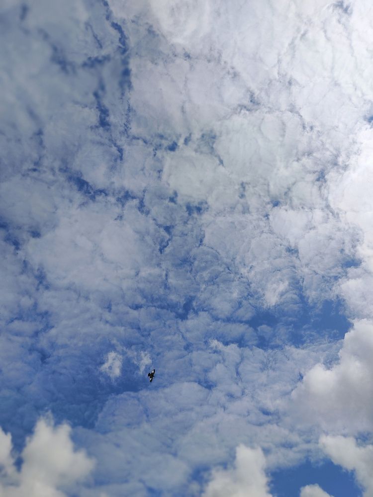 Photograph by Наталья Билай