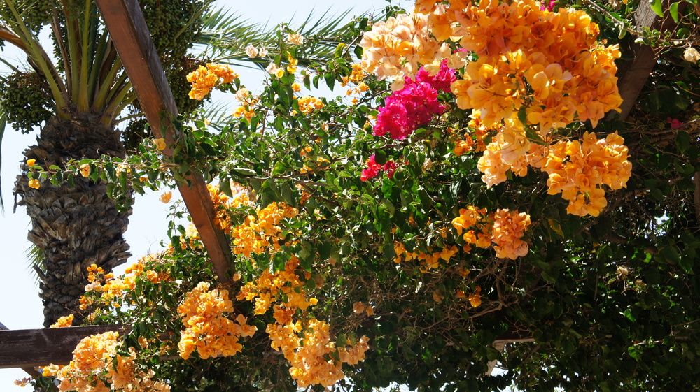 Фотография автора Михаил Бурминский