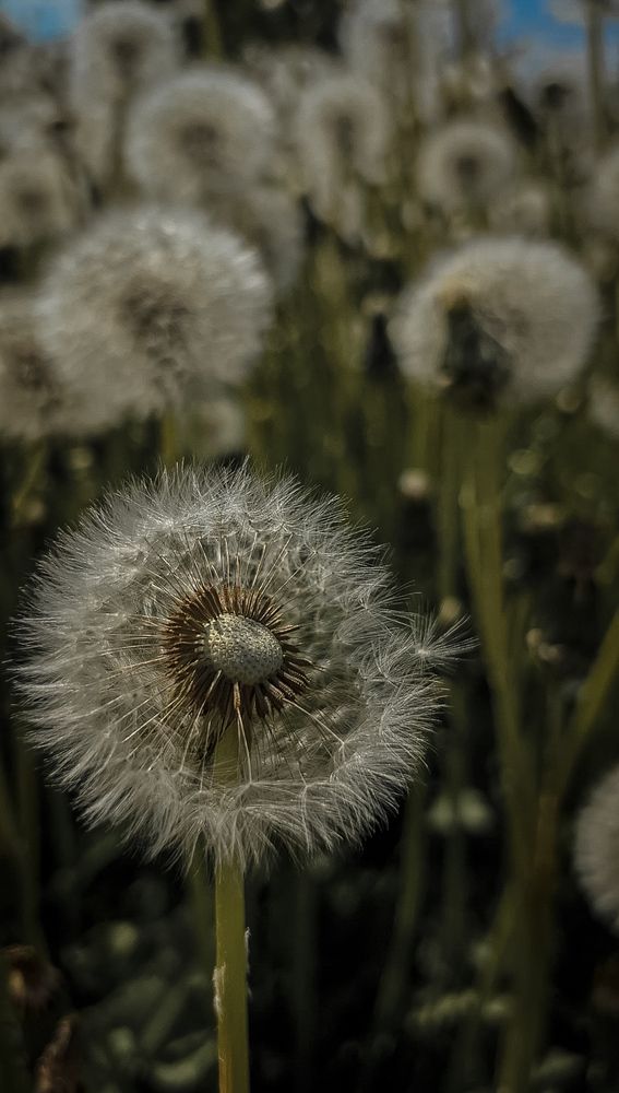 Photograph by Татьяна Петрова
