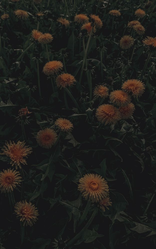 Photograph by Татьяна Петрова