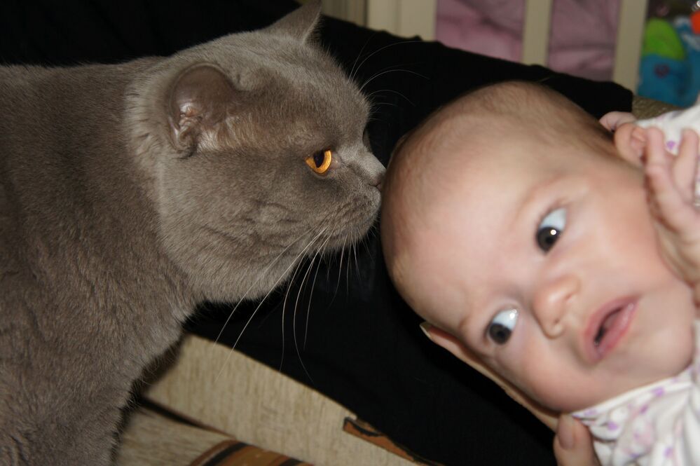 Фотография автора Михаил Бурминский