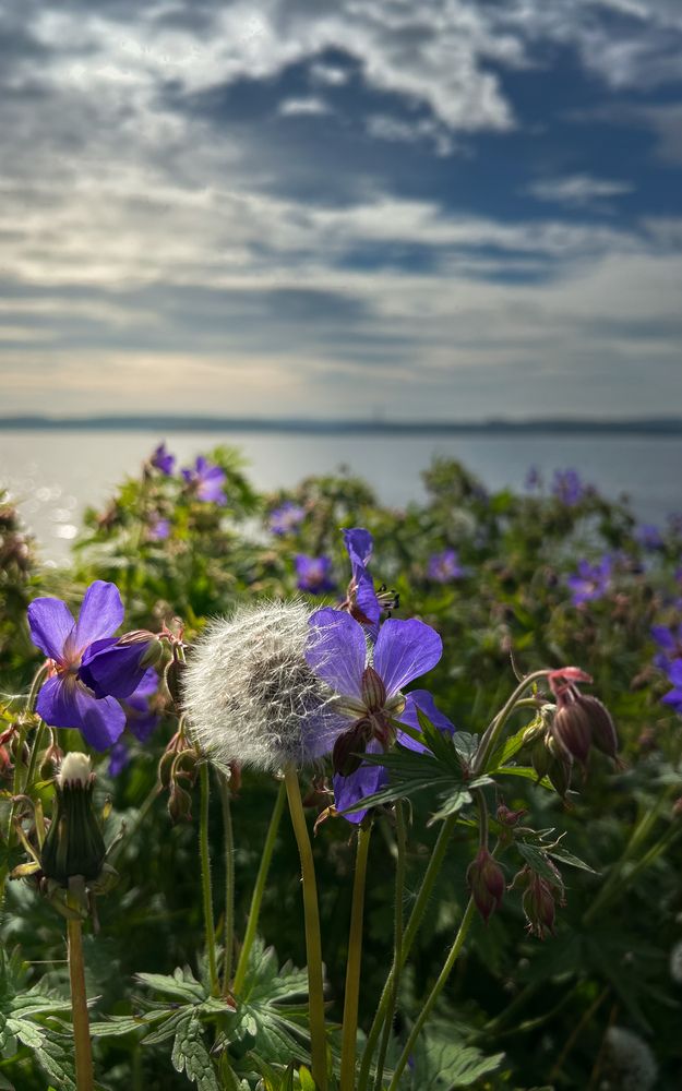 Photograph by Татьяна Петрова