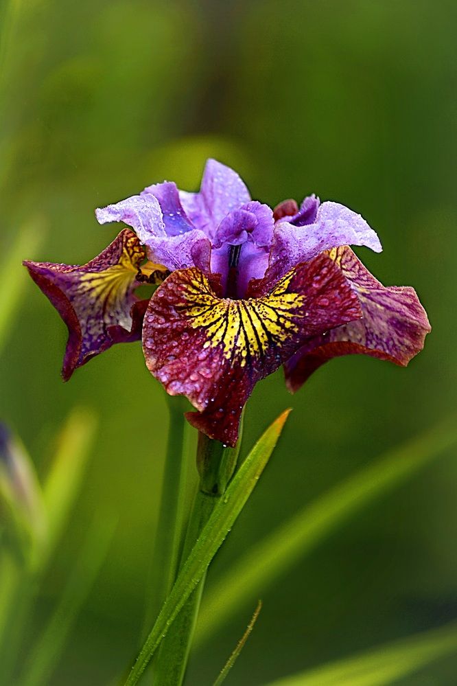 Photograph by Соколова Елена