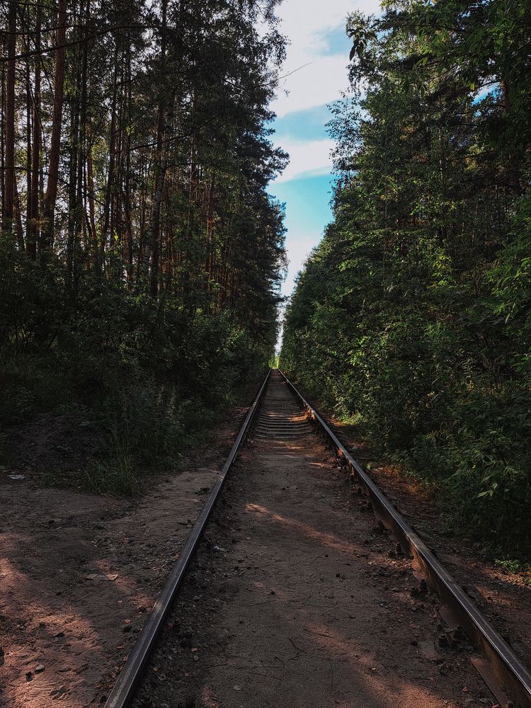 Photograph by Светлана Яковлева