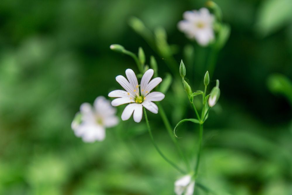 Photograph by Дмитрий Корягин