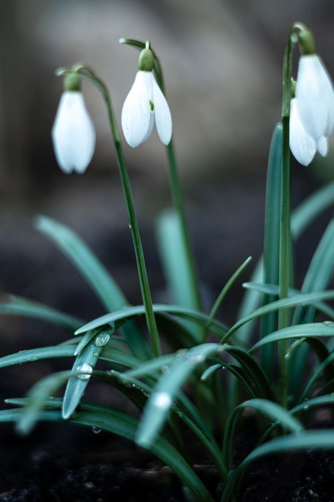 Photograph by Дмитрий Корягин