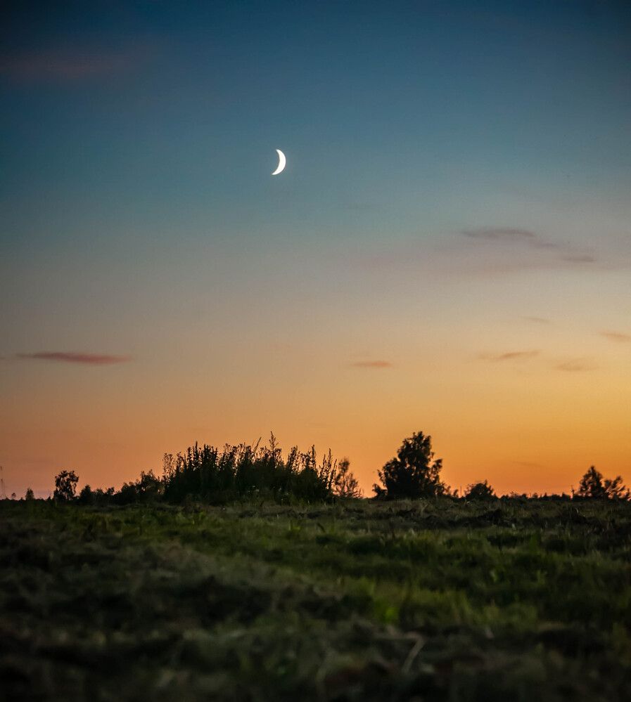 Photograph by Ольга Сафронова