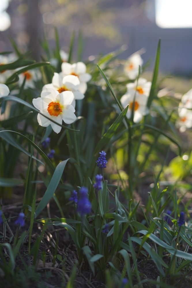 Photograph by Анастасия Позинич