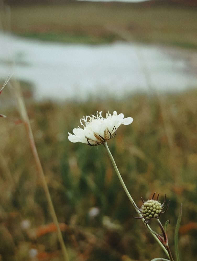 Photograph by Наталья Смирнова