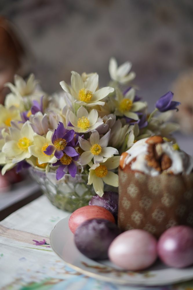 Photograph by Анастасия Позинич