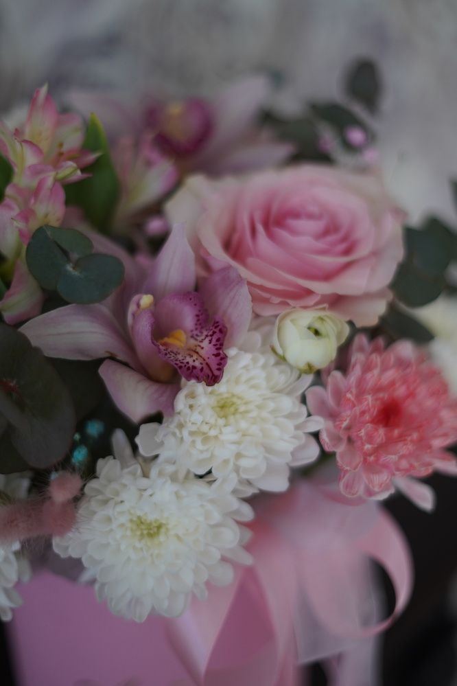 Photograph by Анастасия Позинич