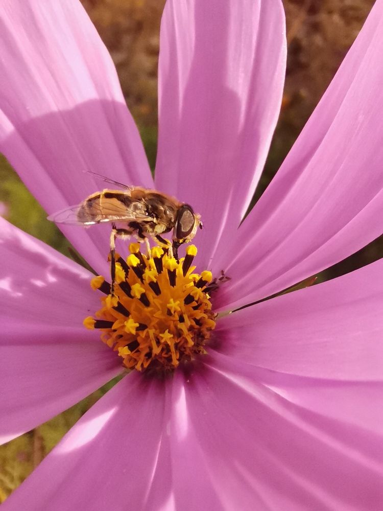 Photograph by Любовь Лунина