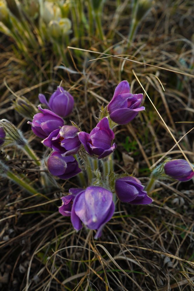 Photograph by Любовь Лунина