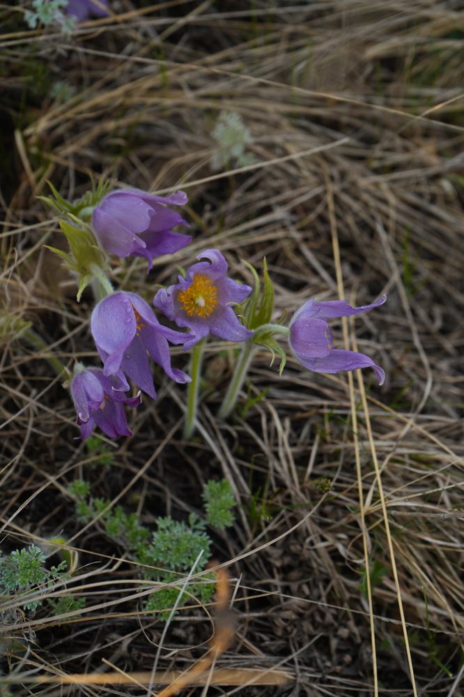 Photograph by Любовь Лунина