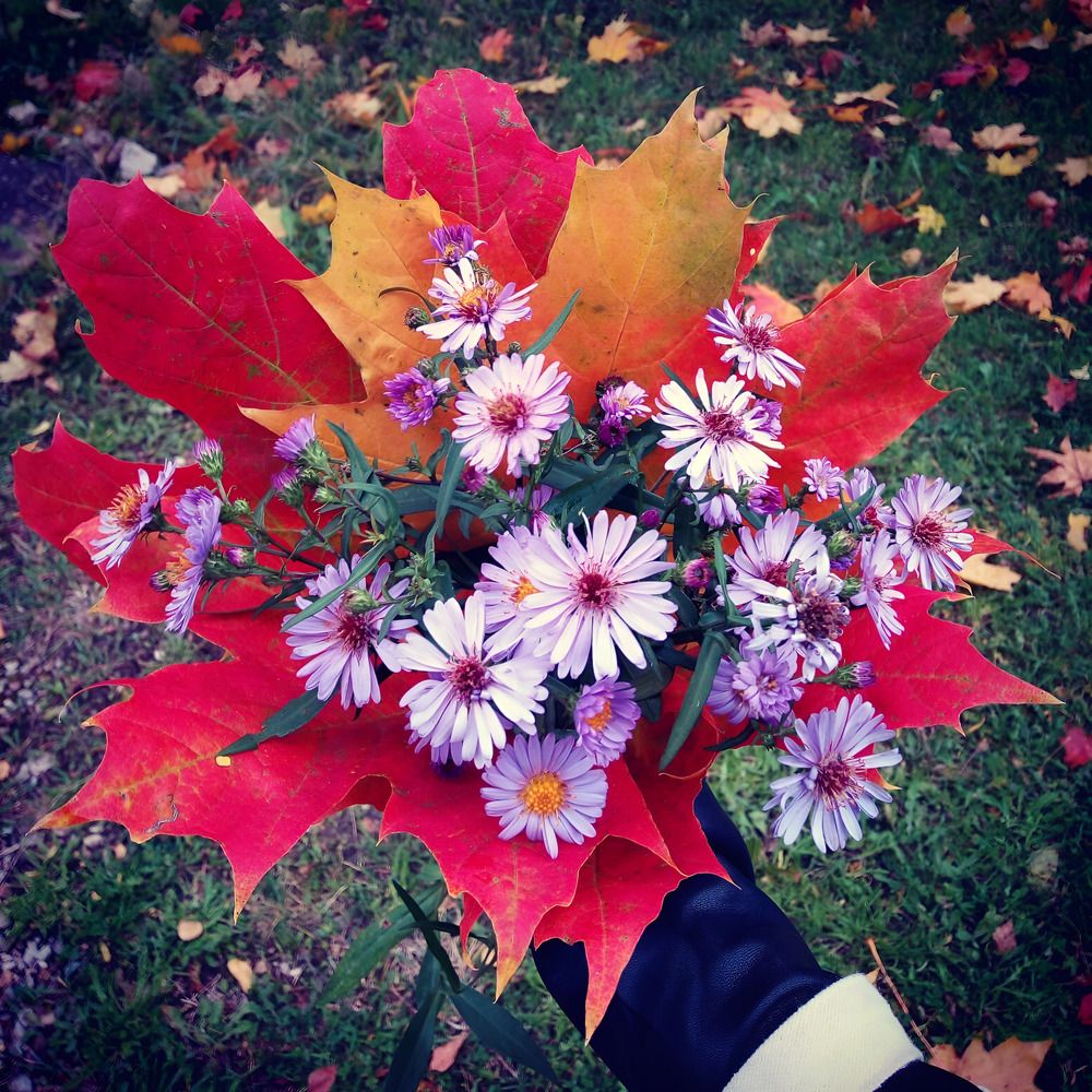 Осенний букет