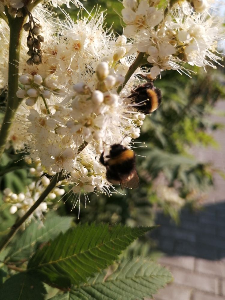 Photograph by Наталия