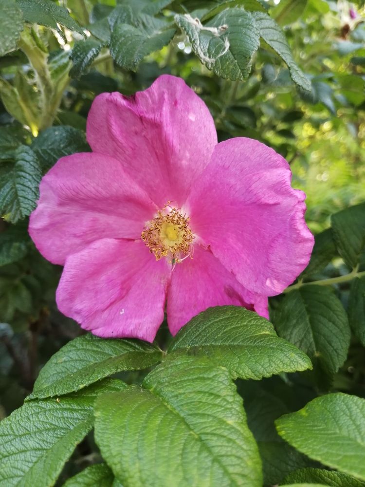 Photograph by Наталия