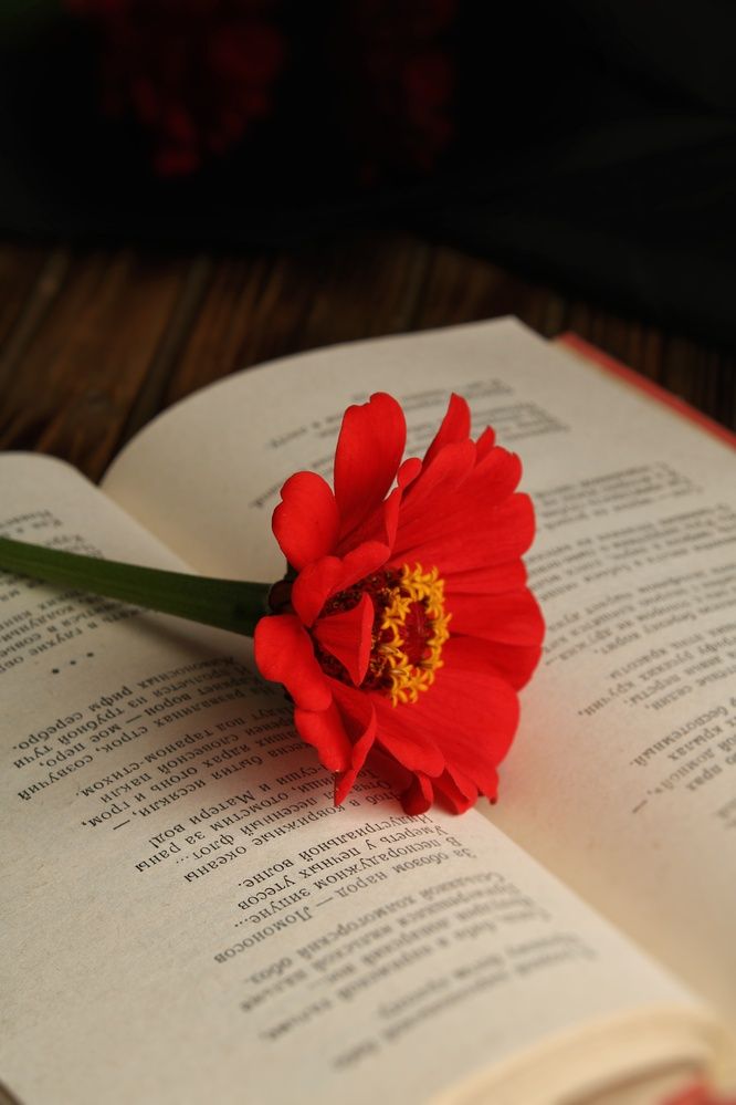 Photograph by Яна Сальникова