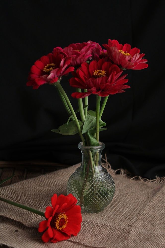 Photograph by Яна Сальникова