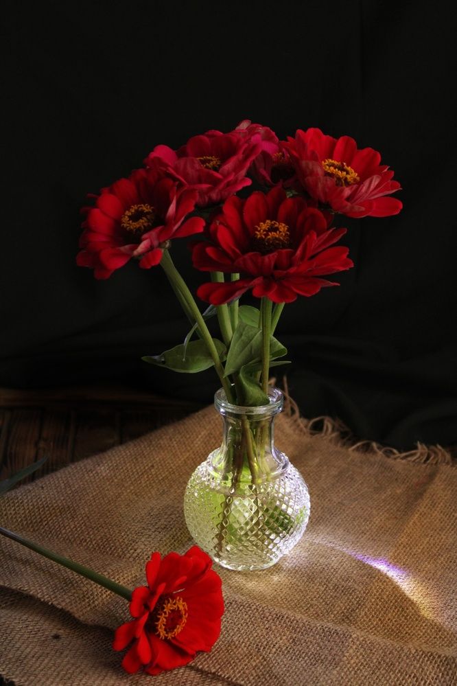 Photograph by Яна Сальникова