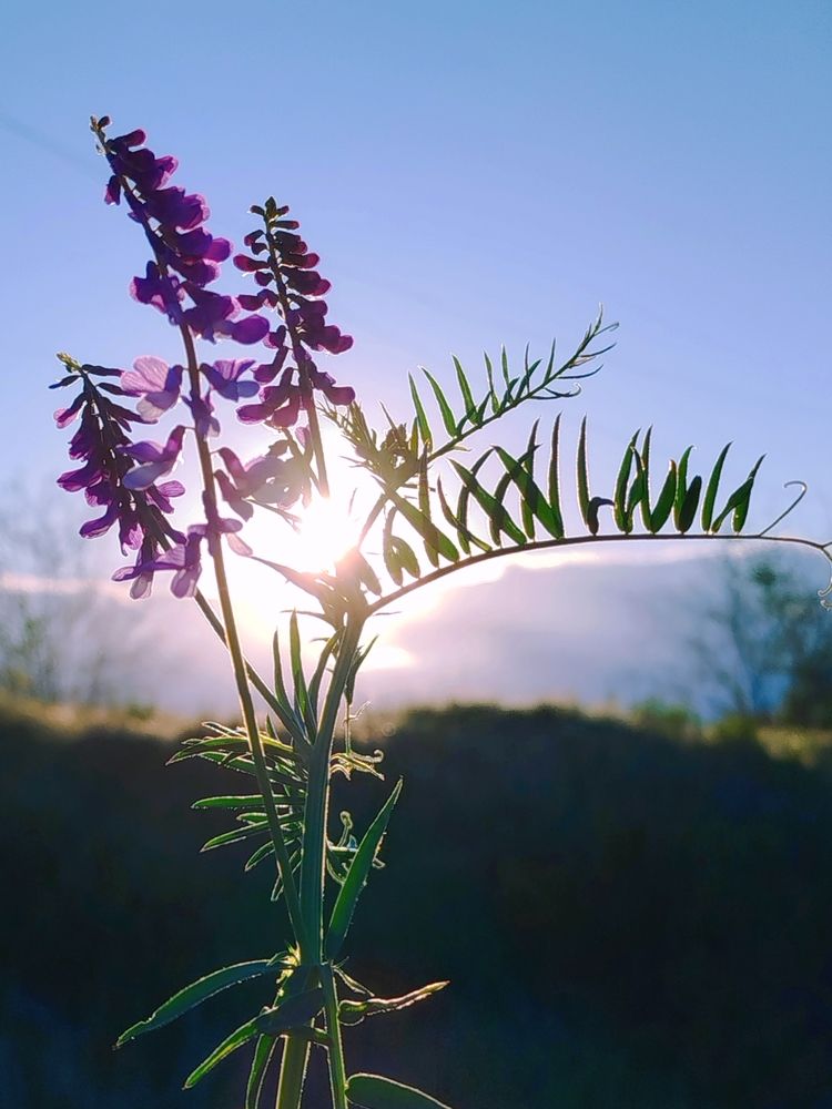 Photograph by Наталья Назаренко