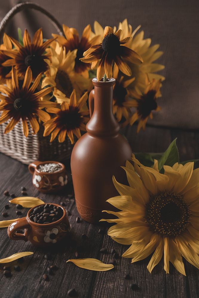 Фотография автора Альбина Кадочникова