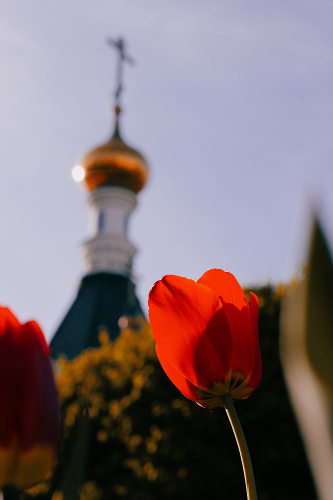 Photograph by Катерина Котт