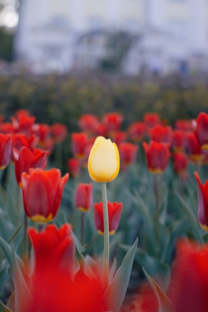 Photograph by Катерина Котт