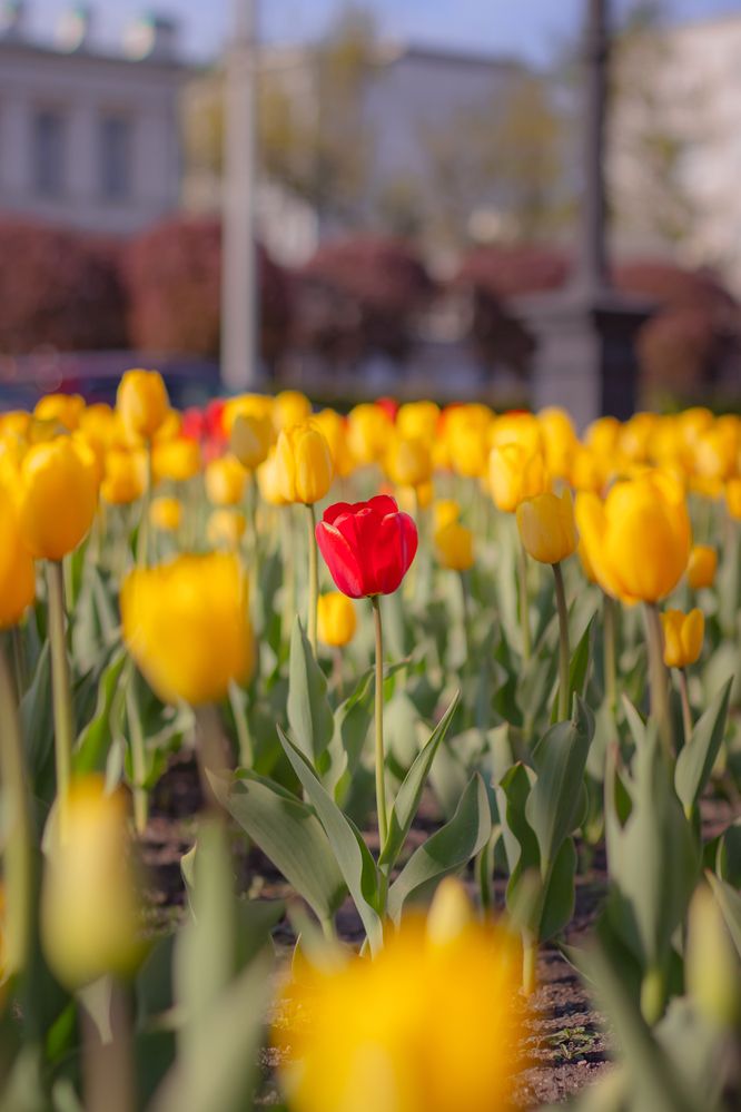 Photograph by Катерина Котт