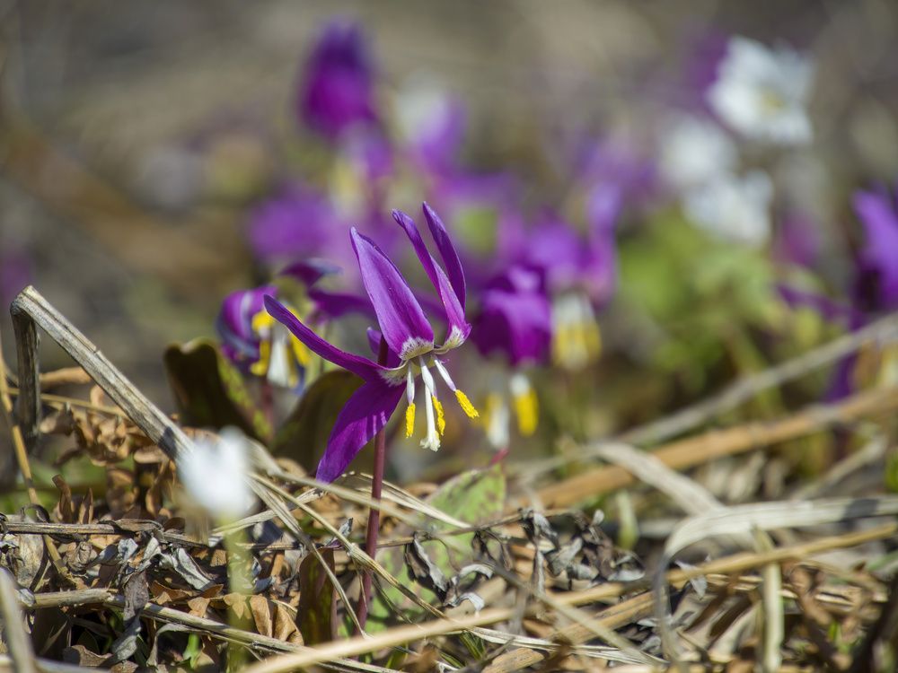Photograph by Валерий Лунев