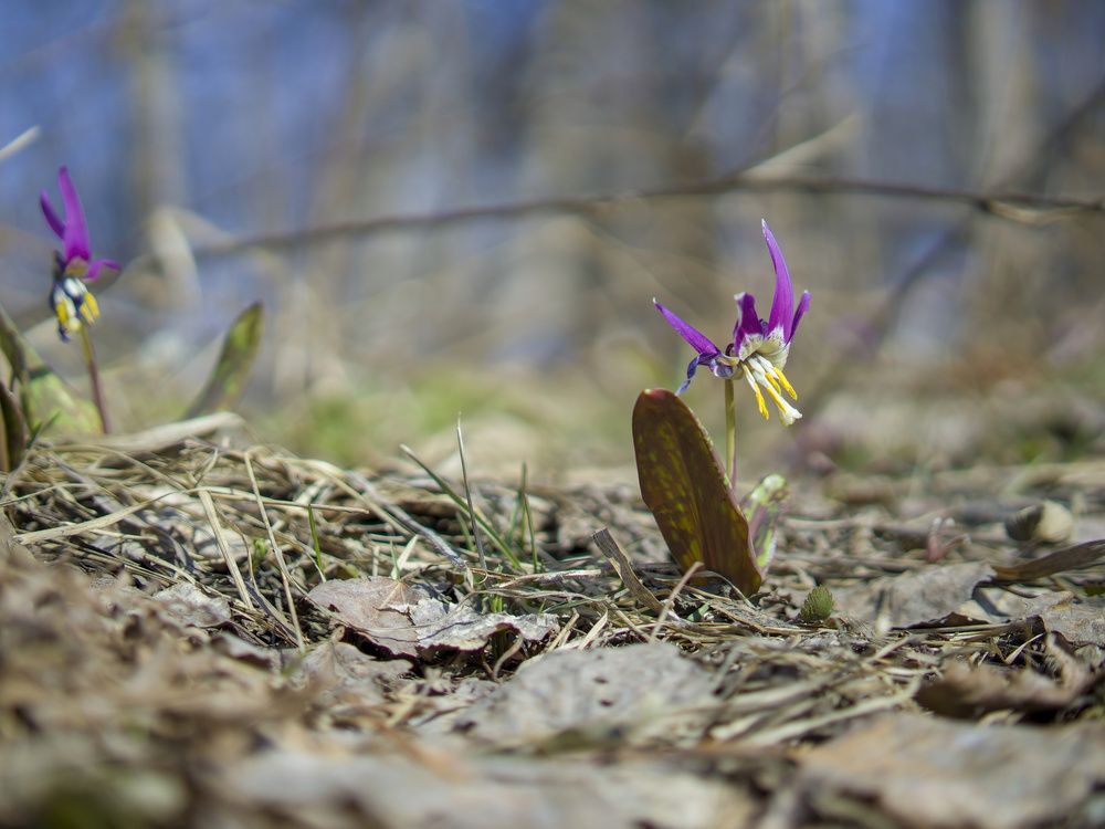 Photograph by Валерий Лунев