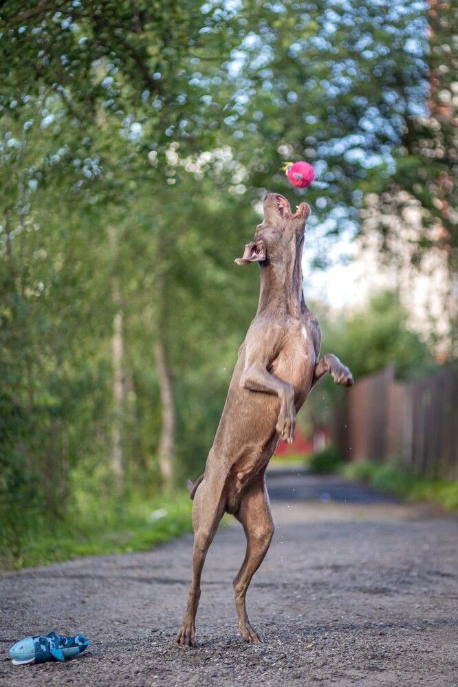 Photograph by Алексей Ефанов