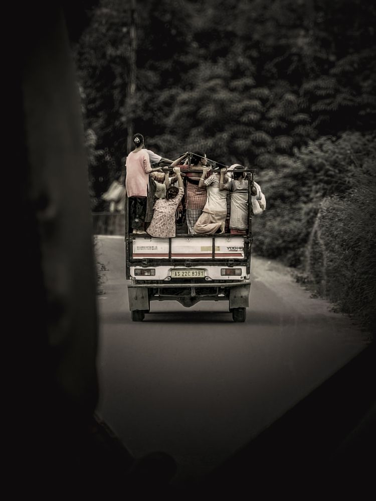\"Carrying Dreams to the Fields\"