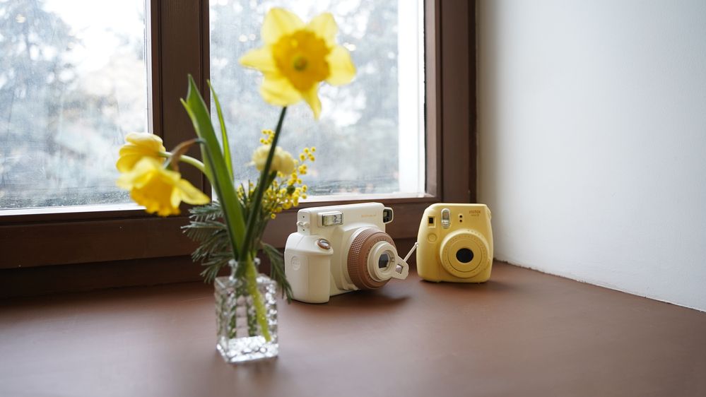 Фотография автора Алена Баулина