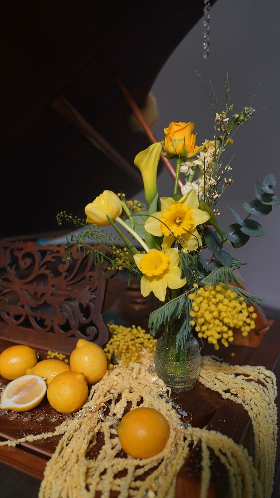 Фотография автора Алена Баулина