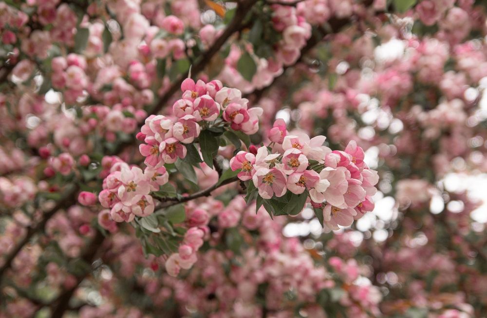 Photograph by Анна Васильева