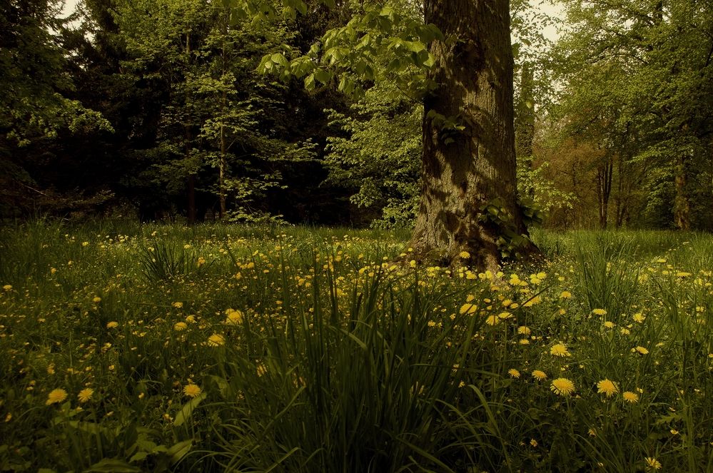 Photograph by Виктор Савельев