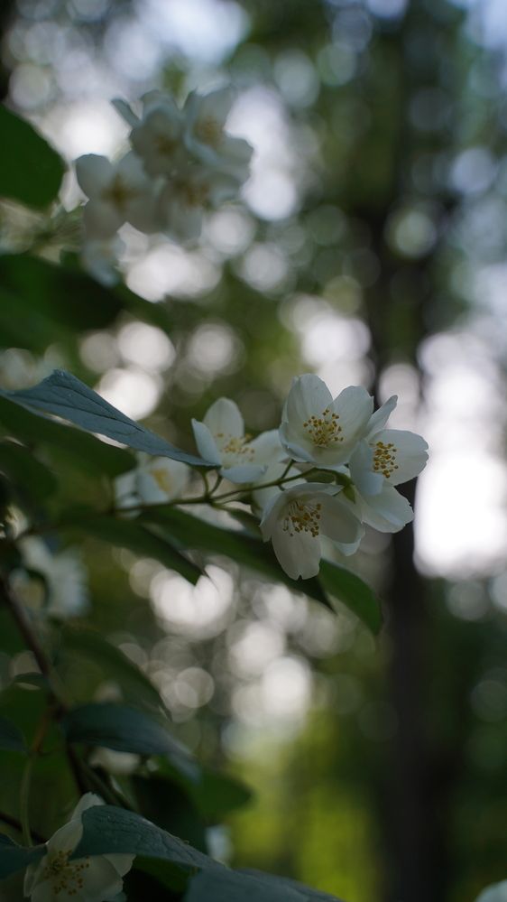 Фотография автора Алена Баулина