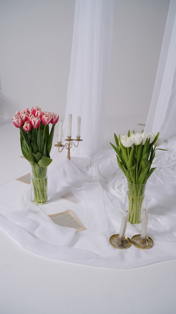 Фотография автора Алена Баулина