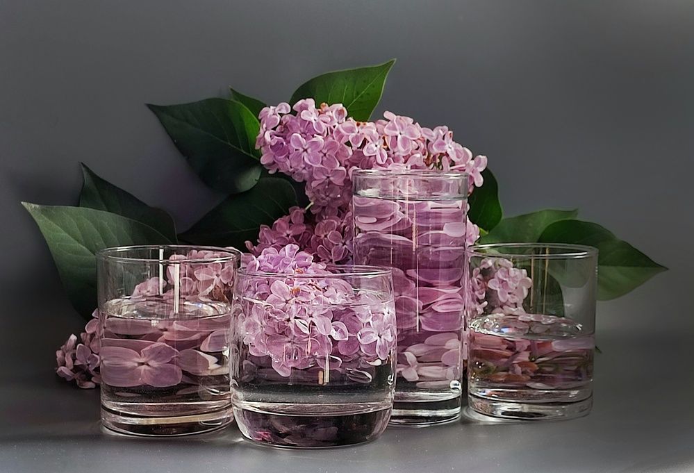 Photograph by Хоменчук Людмила