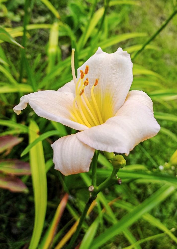Photograph by Sergey Kurkov-Tarkovsky
