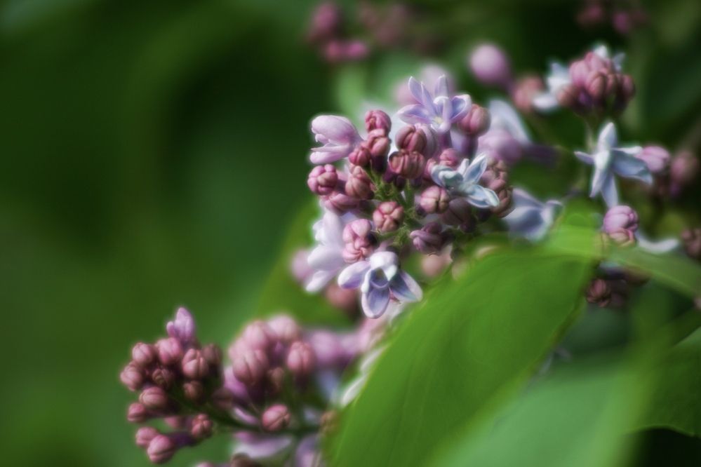 Фотография автора Алексей