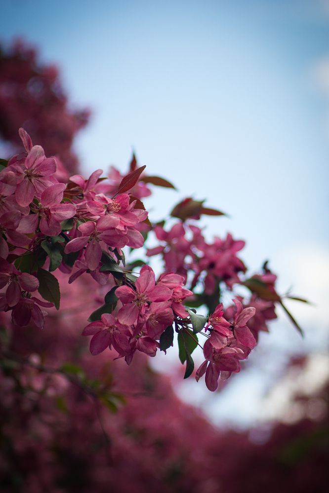 Фотография автора Алексей