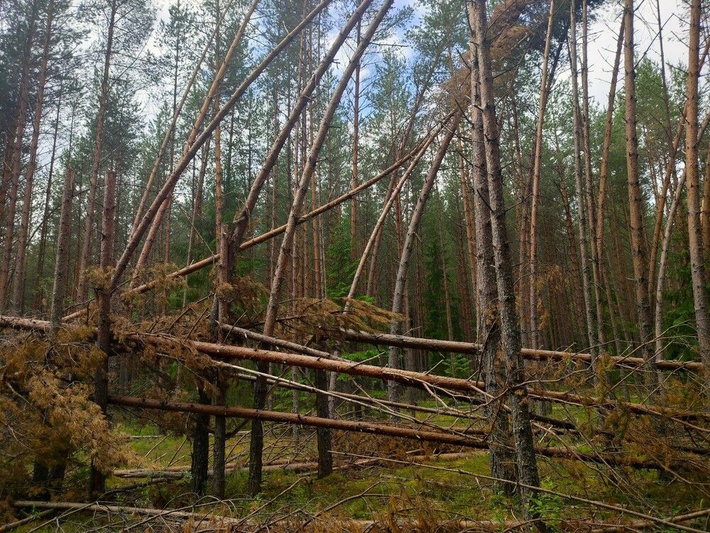 Photograph by Людмила Ваганова