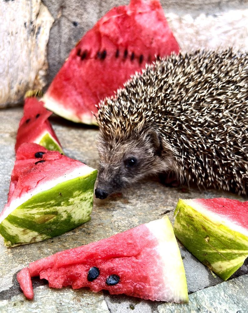 Photograph by Eleni Christogianni